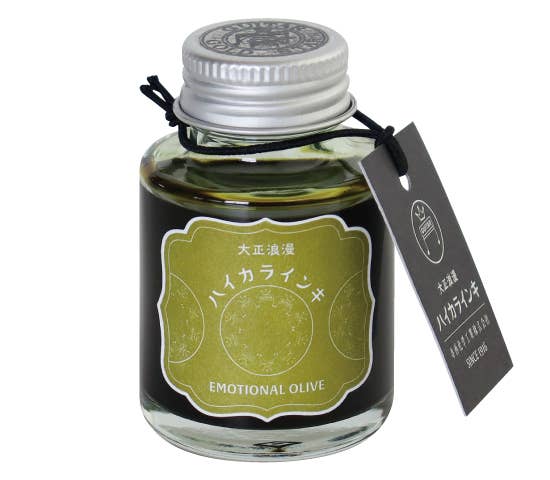 Teranishi Guitar Taisho Roman Haikara Fountain Pen Ink -  40 ml