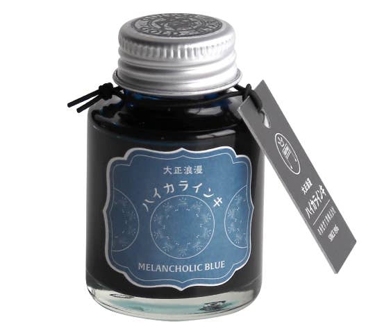 Teranishi Guitar Taisho Roman Haikara Fountain Pen Ink -  40 ml