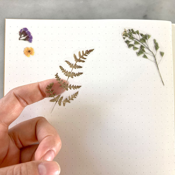 Pressed Flower Stickers